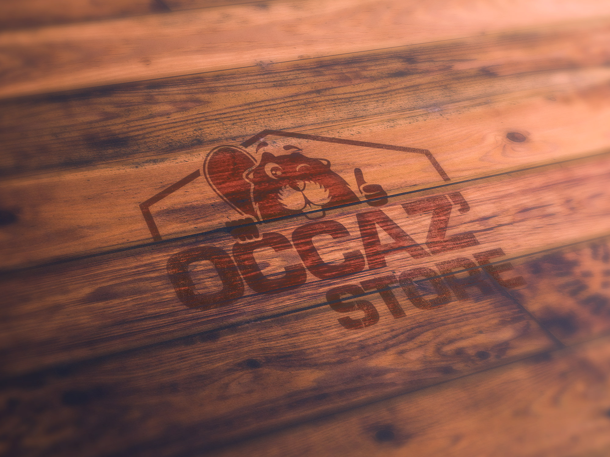 Logo-occaz-wood